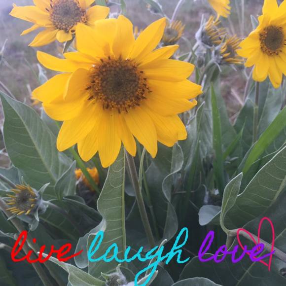 Meet your Posher, Rachel - Picture 1 of 1